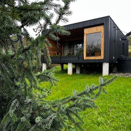 Brown Deer - Z Sauna Na Tarasie, Jacuzzi I Widokiem Na Gory - By Deer Hills Luxury Apartments Kocon Bagian luar foto